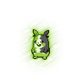 Morpeko (Full Belly)